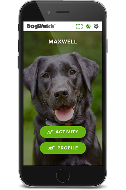 DogWatch of Central Kentucky, Lexington, Kentucky | SmartFence WebApp Image