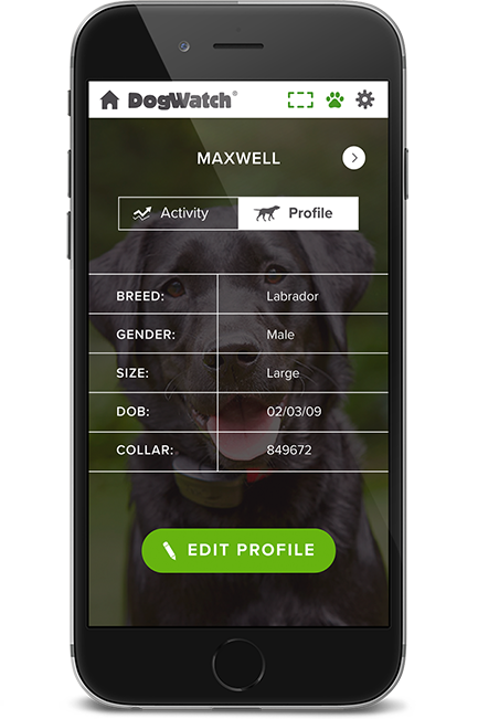 DogWatch of Central Kentucky, Lexington, Kentucky | SmartFence WebApp Image