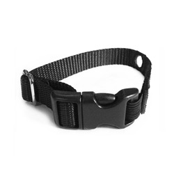Cat replacement collar strap